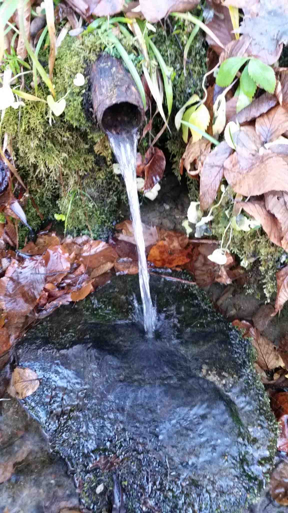 The pipe spring on old US64